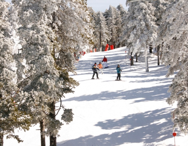  Snow for the whole family 